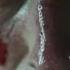 Bent Ardi Broken Face Official Music Video