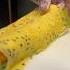 Tamago Sushi Roll Walkcook Food Sushi Shorts