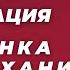 Новая мобилизация За что не любят Дурова Курск нам не близок ГубинOnAIR