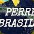 PERREO BRASILERO DJ ALE