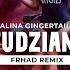 Alina Gingertail Studzianki FRHAD Remix