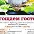 Кулинарные рецепты Рецепты к праздничному столу