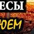 Кровавый сценарий уничтожения славян Владимир Боглаев сводки от 11 09 24