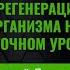 Дмитрий Лапшинов как восстановить здоровье с помощью дыхания Трейлер большого эфира Дыхание силы