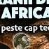 Cranii Descoperite în Africa și Europa Dau Peste Cap Teoriile Originii Umane