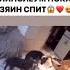 собака хаха наоборот смех