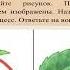 Разбор урока по биологии для 5 класса по теме Жизнедеятельность организмов