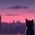 Lo Fi For Cat Lofi Cat Mix Study Calm Heal Enjoy Lofi Hip Hop Lofi Chill