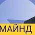 АЛЬФАМАЙНД Антистресс и концентрация Олег Андрийчук
