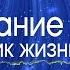 Проповедь Познание Бога источник жизни Алексей Коломийцев