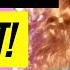 Olivia Claps Back At Naomi Drag Race All Stars 10 Have Your Say