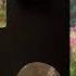 TAURUS A Sudden Change JUNE 16TH JUNE 23RD TAROT CARD READING