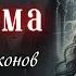Академия Драконов Книга 4 Юмористическое фэнтези Слушать Аудиокнигу