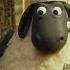 Shaun The Sheep Cooking With The Flock Cartoons For Kids Full Episodes Compilation 1 Hour