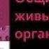 Биология 9 класс Общие свойства живых организмов