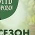 Как заядлым дачникам сохранить здоровье в летний сезон Давайте жить здорово