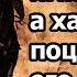 Он победил императора Рима а Умар поцеловал его в голову История Абдуллаха бин Хузафа ас Сахми