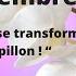 Horoscope Scorpion Novembre 2024 La Chenille Se Transforme En Papillon