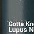 Lupus Nocte Gotta Know Restless Hopeful Synth Pop