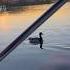 Volga River Russia Boating Travel Vlog Trending Nature