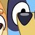 Live Bluey Series 2 Full Episodes