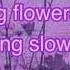 Sending Flowers To Me Slowed