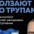 Алексей Решетун Когда насекомые ползают по трупам 18