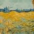 Van Gogh Tormented Genius Biographical Documentary