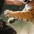 Mocked Beggar Slays Tiger With One Strike Crowd Completely Stunned