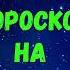 Шуточный гороскоп на 2024 год по знакам Зодиака