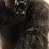King Kong Kong On Broadway Part 3 James Newton Howard