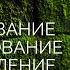 Часть 2 Доши формирование распределение доминирование и коррекция