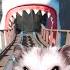 Hamster In Roller Coaster Maelstrom With Shark