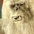 Bigfoot Yeti Meet Science