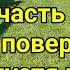 Часть 2 Клевер поверх травы спустя год Какой сорт лучше результат ответы на вопросы