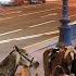 Like This LIVE CAM Nevskiy Avenue St Petersburg Russia Невский пр Санкт Петербург Гостиный двор