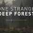 Lone Stranger Deep Forest