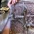 Pushing Back Brambles Clearing Old Bread Oven And Turning The Small Stable Into Wood Storage 91