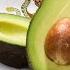 10 Hour Of Avocados From Mexico
