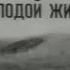 Четыре страницы одной молодой жизни фильм 1967г реж Резо Эсадзе