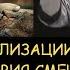 Н Левашов Последствия смешения рас на земле Фатальная ошибка наших предков Гибель цивилизации