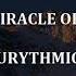 THE MIRACLE OF LOVE Eurythmics Lyrics