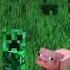 Грустный сигма крипер с сигма свинкой шли по полю в Minecraft Titwow