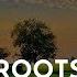 Amit Malsar Roots Slowed Reverb Roots Lo Fi Song