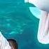 Beluga Whale Is AMAZED By Tricks Funny Aquarium Videos