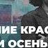 37 Освобождение Красной Армией Прибалтики осенью 1944 г от Риги до Курляндии История России 10