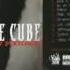 Ice Cube Raw Footage FULL ALBUM