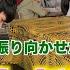 都庁ピアノ 千本桜を弾いて観客を振り向かせたら僕の勝ち