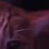 Meow Mix Song