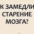 Мозг долгожителя Как замедлить старение мозга